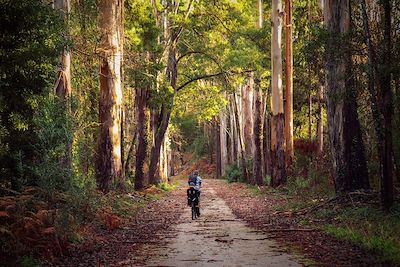 Voyage De Porto à Lisbonne à vélo, tradition & romantisme 1