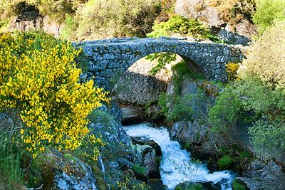 © Vinitur - Minho - Portugal Minho - Portugal