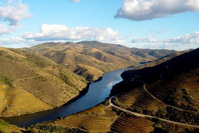 Vignobles en terrasses dans la vallée du Douro - Haut-Douro - Portugal