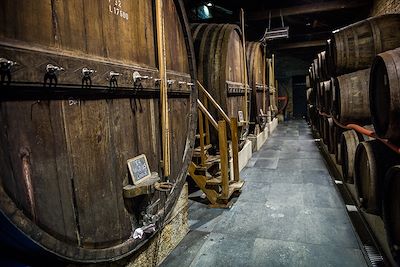 Voyage Porto et les vignobles du Douro à vélo 2