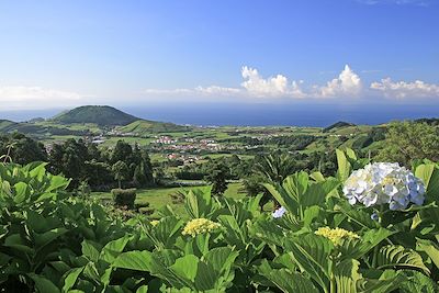 Ile de Faial - Açores - Portugal