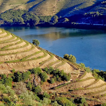 Randonnée Portugal Douro