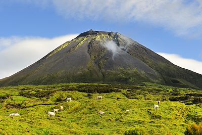 © Maurico de Abreu / Turismo de Acores - Le Pico - Pico - Acores - Portugal Le Pico - Pico - Acores - Portugal