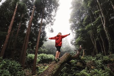 Randonnée en forêt - Açores - Portugal
