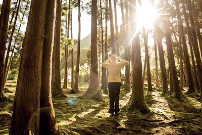 Randonnée en forêt - Açores - Portugal