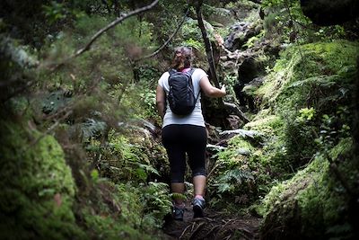 Randonnée en forêt - Açores - Portugal