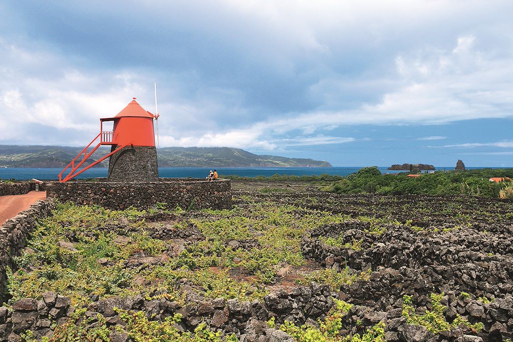Image São Jorge - Île de Pico - île de Faial - île de Sao Jorge