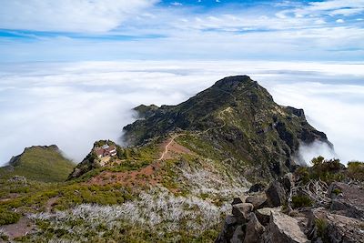 © Filipe Mendonca / Visit Madeira - Pico Ruivo - Madère - Portugal Pico Ruivo - Madère - Portugal