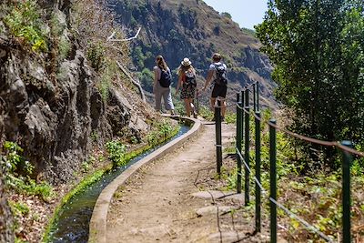 © LOOK-foto, Image Professionals GmbH / Alamy / Hemis - Levada do Moinho près de Ponta do Sol - Madère - Portugal Levada do Moinho près de Ponta do Sol - Madère - Portugal