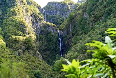 © Dylan Freedom / iStock - Levada das 25 Fontes - Madère - Portugal Levada das 25 Fontes - Madère - Portugal