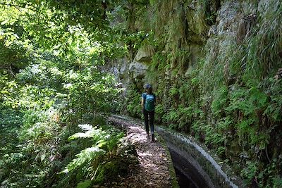 © Suzanne Plumette / Adobe Stock - Randonnée - Levada à Madère - Portugal Randonnée - Levada à Madère - Portugal