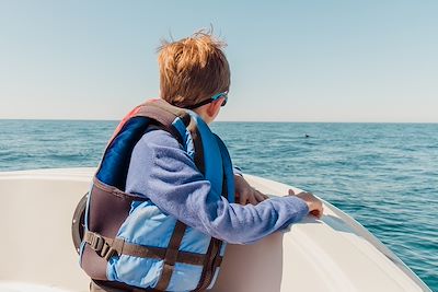 © Rebecca Spencer / Stocksy - Observation des dauphins  Observation des dauphins