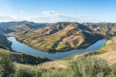 © homydesign / Adobe Stock - Vue sur les vignobles en terrasses de la vallée du Douro - Portugal Vue sur les vignobles en terrasses de la vallée du Douro - Portugal