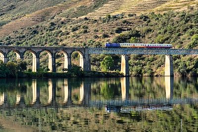 © Armando Oliveira / Getty Images - Train historique sur un pont de la ligne du Douro au milieu des vignobles de Porto - Portugal Train historique sur un pont de la ligne du Douro au milieu des vignobles de Porto - Portugal