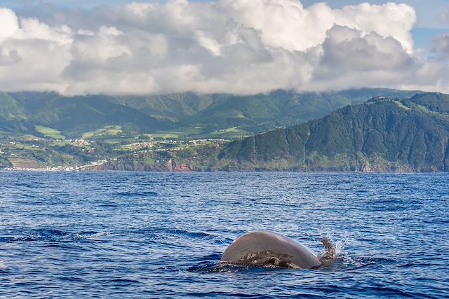 © Evgeni/fotolia.com