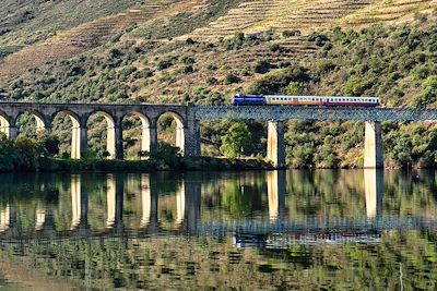 Train historique sur un pont de la ligne du Douro au milieu des vignobles de Porto - Portugal