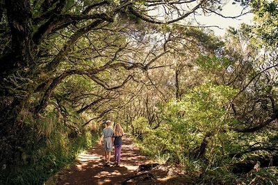 © aroundtheworld.photography / Getty Images - Randonnée en famille - Levada - Rabaçal - Madère - Portugal Randonnée en famille - Levada - Rabaçal - Madère - Portugal