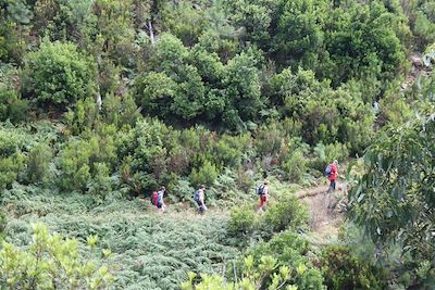 © Romain Raji - Randonnée vers Porto da cruz - Madère - Portugal Randonnée vers Porto da cruz - Madère - Portugal