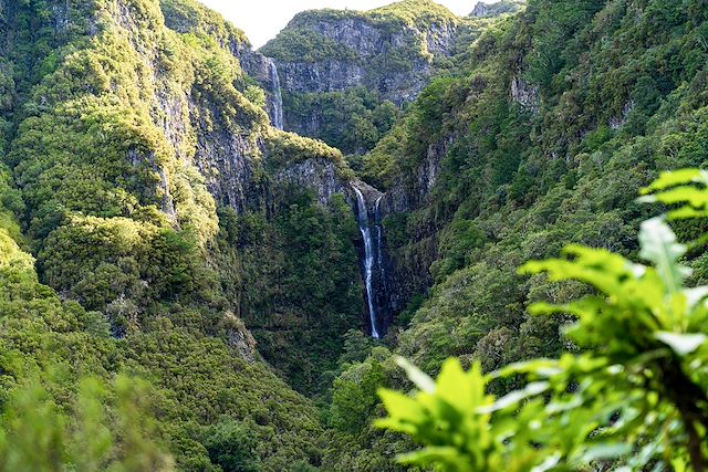 © Dylan Freedom / iStock