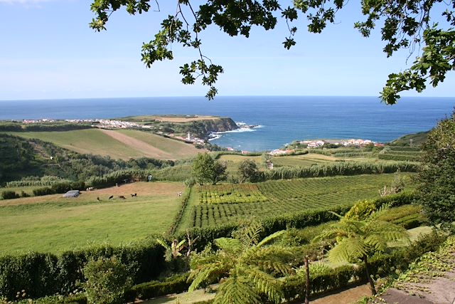 Voyage : Escale à São Miguel Voyage Escale à São Miguel