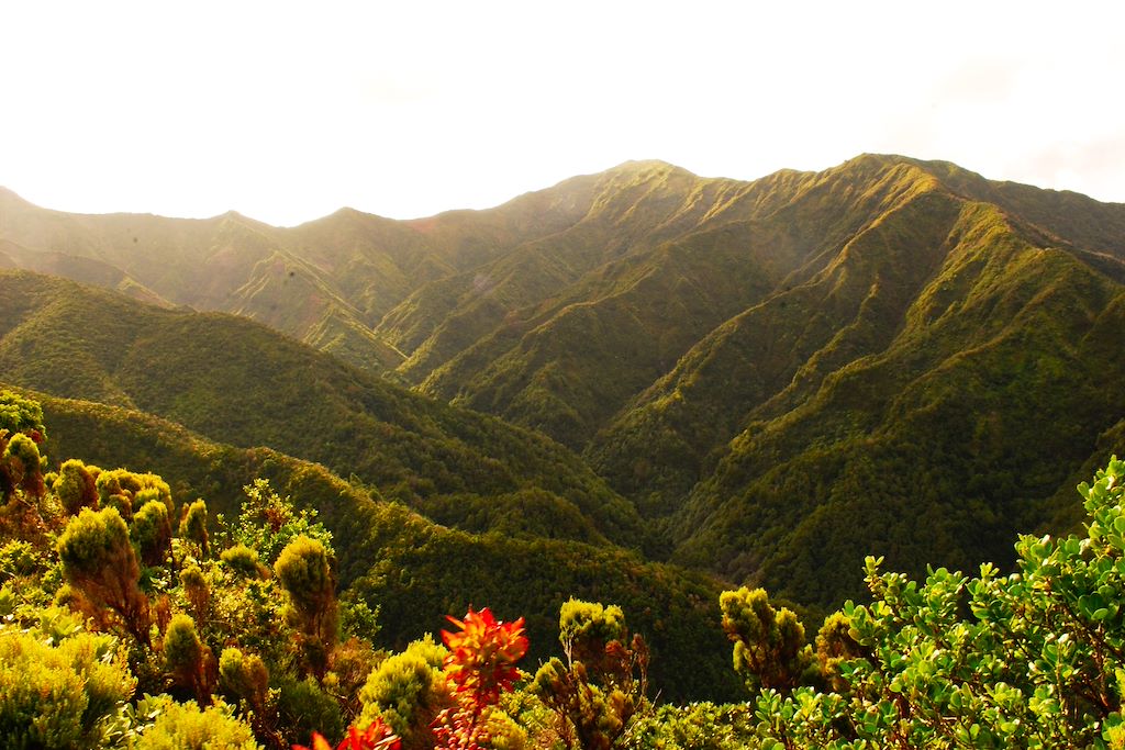 Image Randonnées Açores – Randonnée Sao Miguel – Tour Sao Miguel