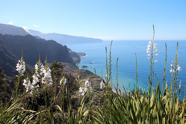 Voyage Tour intégral de Madère