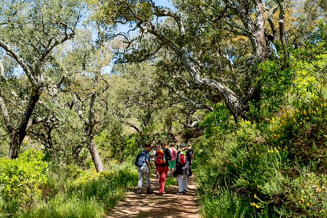 Voyage L'Algarve, aux portes de l'Océan