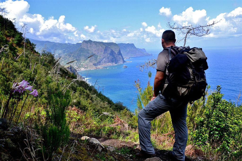 Image Randonnée À Madére - Randonnée À Porto Santo - Observation Des Cétacés