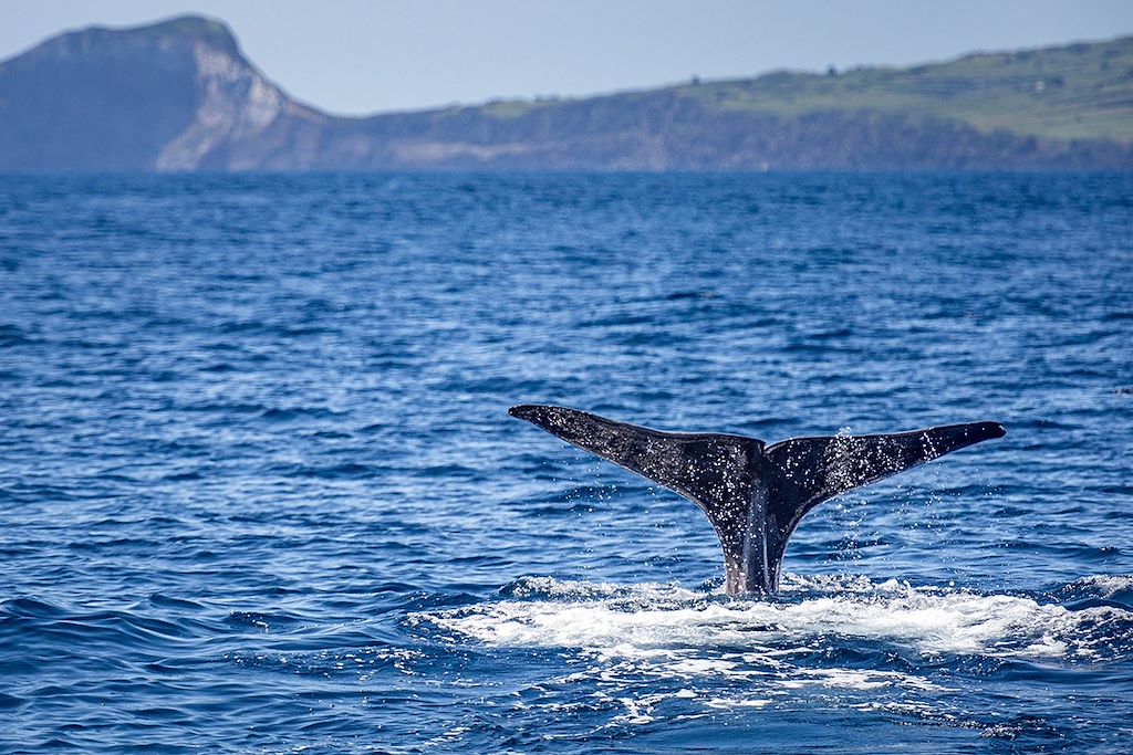 Image Voyages Açores - Randonnée Faial - randonnée Flores - Randonnée Corvo - Randonnée Pico
