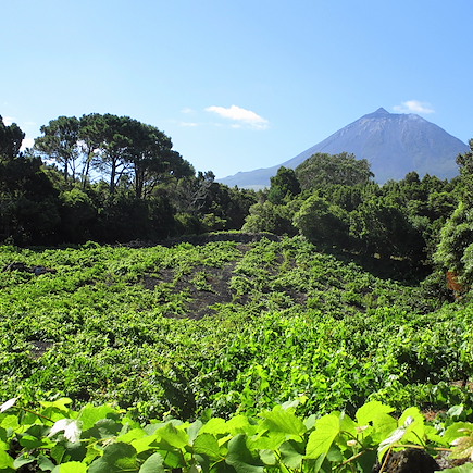 Randonnée Portugal Açores
