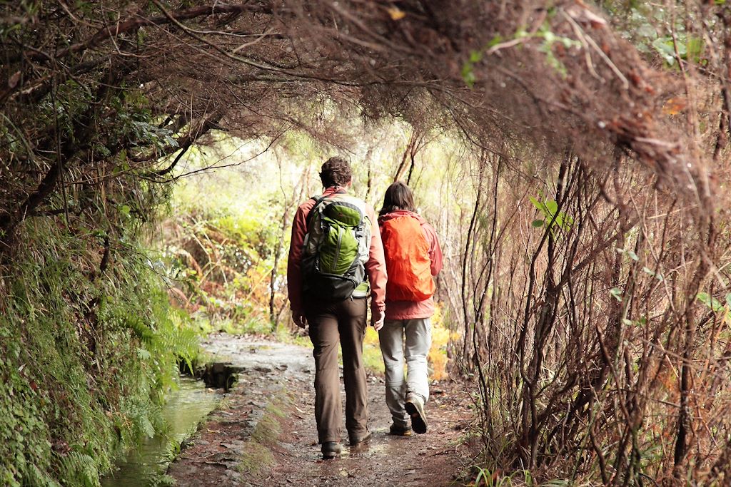 Image Trek Sur Les Sommets De Madére - Randonnée Sur Les Picos - Pico Ruivo