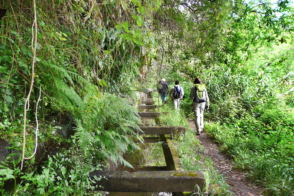 Image Trek Sur Les Sommets De Madére - Randonnée Sur Les Picos - Pico Ruivo
