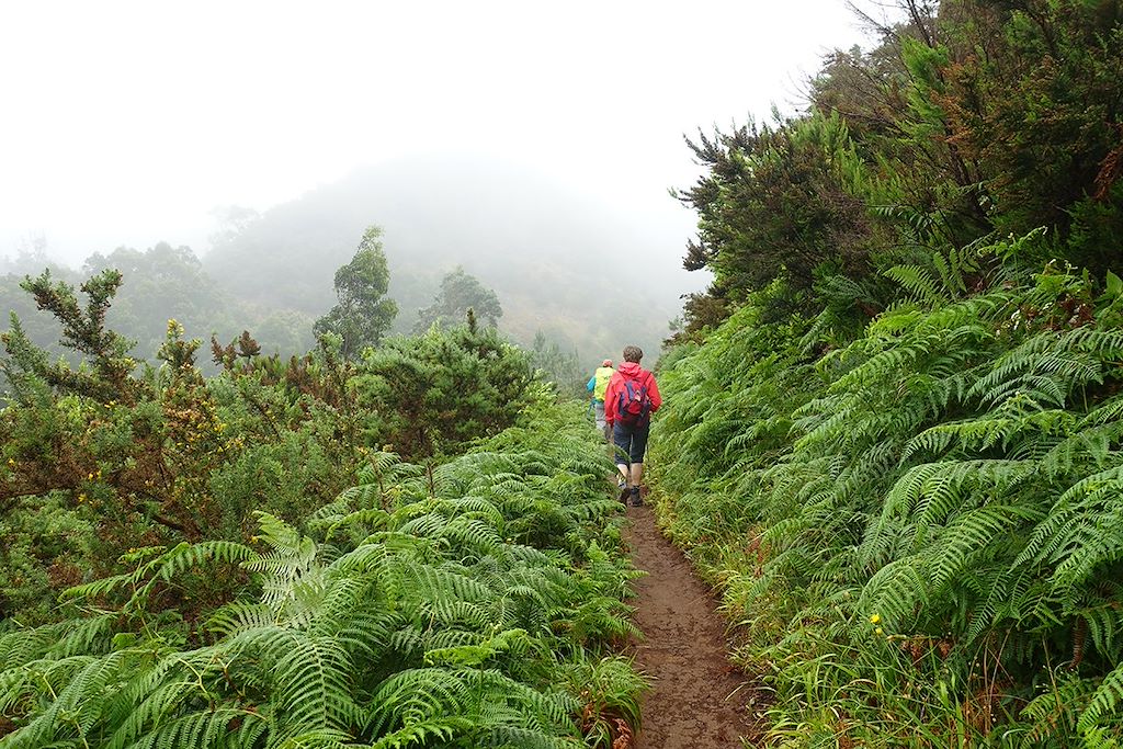 Image Trek Sur Les Sommets De Madére - Randonnée Sur Les Picos - Pico Ruivo