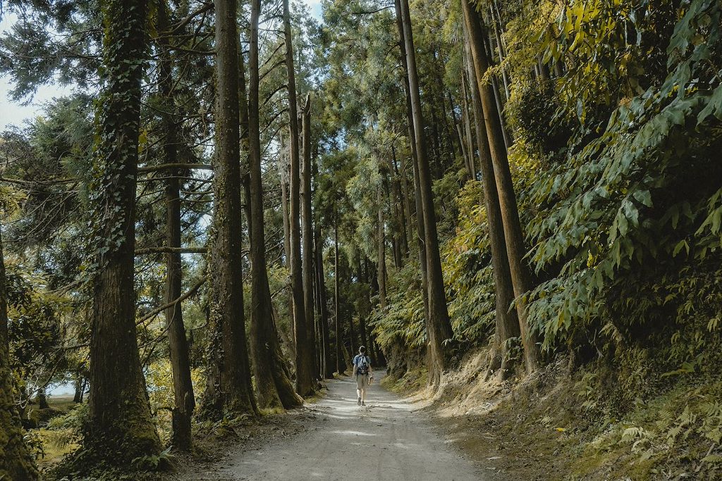 Image Voyage aux Açores - Randonnée Açores - Randonnée Pico - Randonnée Sao jorge