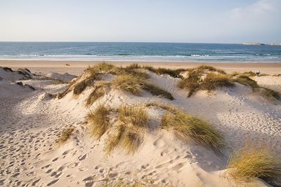 Dunes de sable - Peniche - Portugal