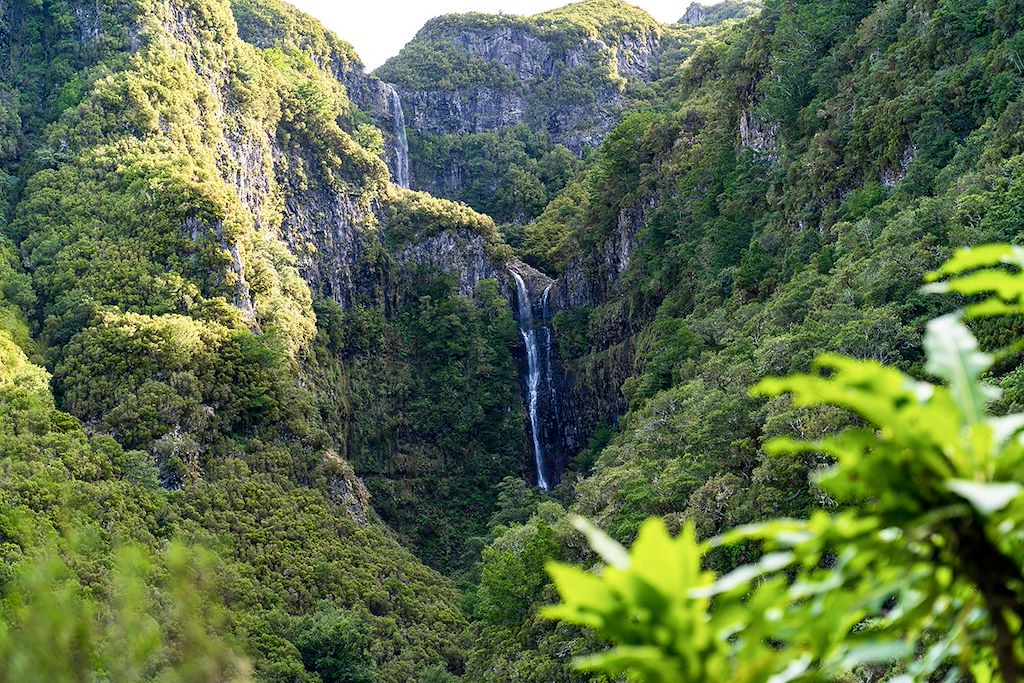 Image Randonnée en famille - Exploration en liberté - Levadas & cascades - Funchal