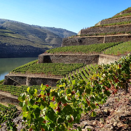 Autotour Portugal Douro