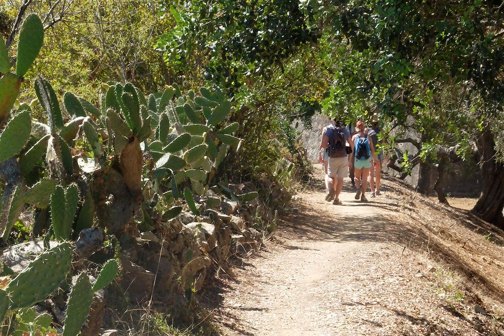 Image Randonnée En Liberté Au Portugal - Visite De Tavira - Le Cap St Vincent -