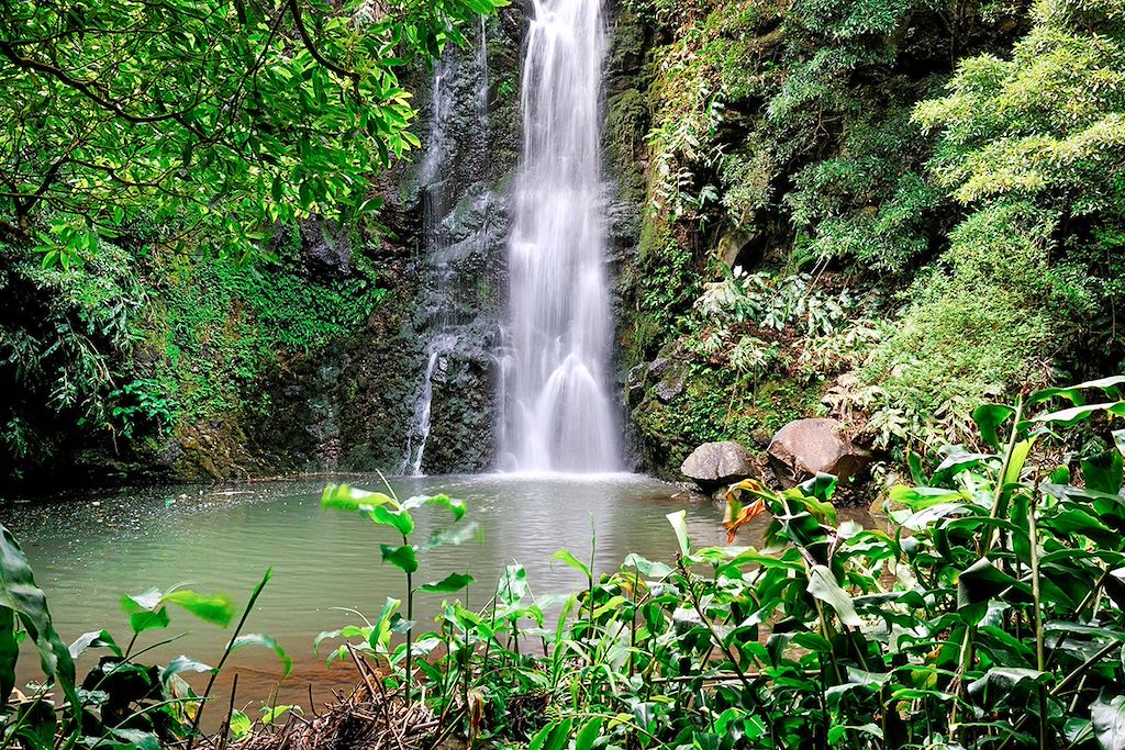 Image Randonnée En Liberté Aux Acores - Sao Miguel - Sao Jorge - Faial - Pico