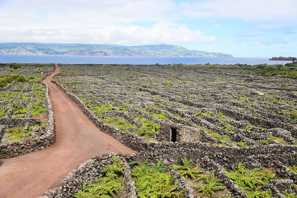 Image Randonnée Açores – Voyage Açores – Voyage Portugal