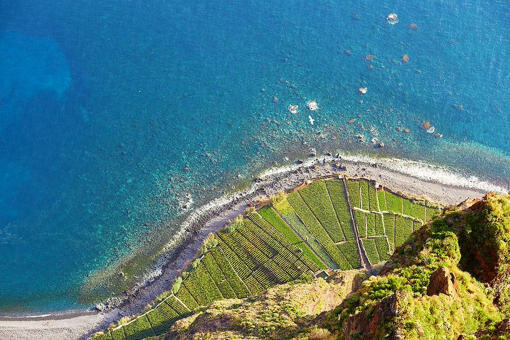 Image Tour de Madère à vélo - Funchal et Porto Moniz à vélo
