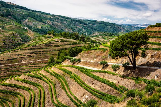 Voyage La vallée du Douro : vélo, vin, nature et traditions 3