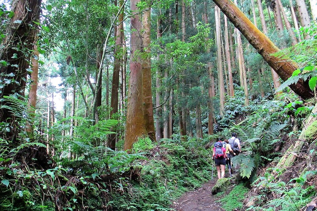 Image Voyage Açores - Randonnée Sao Miguel - Vallée de Furnas - Ponta Delgada