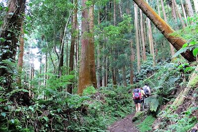 Furnas - Açores - Portugal