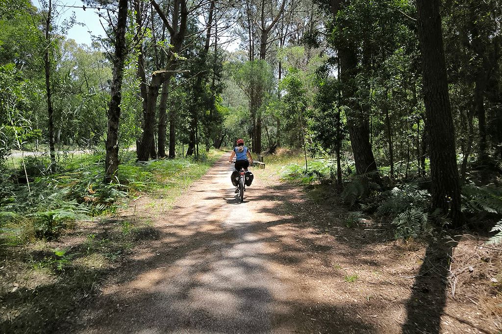 Image Eurovélo Portugal - de Porto à Lisbonne à vélo - Coimbra à vélo