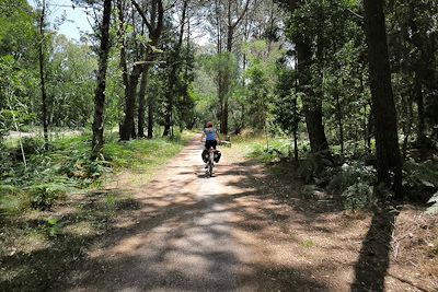 Vélo entre Praia de Mira et Figueira da Foz - Lisbonne