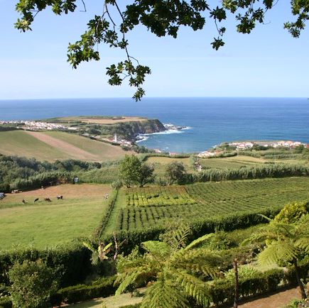 Autotour Portugal Açores