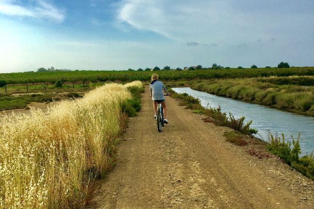 Image L'Algarve à vélo : Ecovia et chemins de traverse