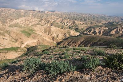 Paysage montagneux - Palestine