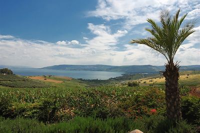 Le lac de Tibériade - Israël